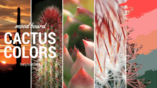 cactus inspired color scheme mood board