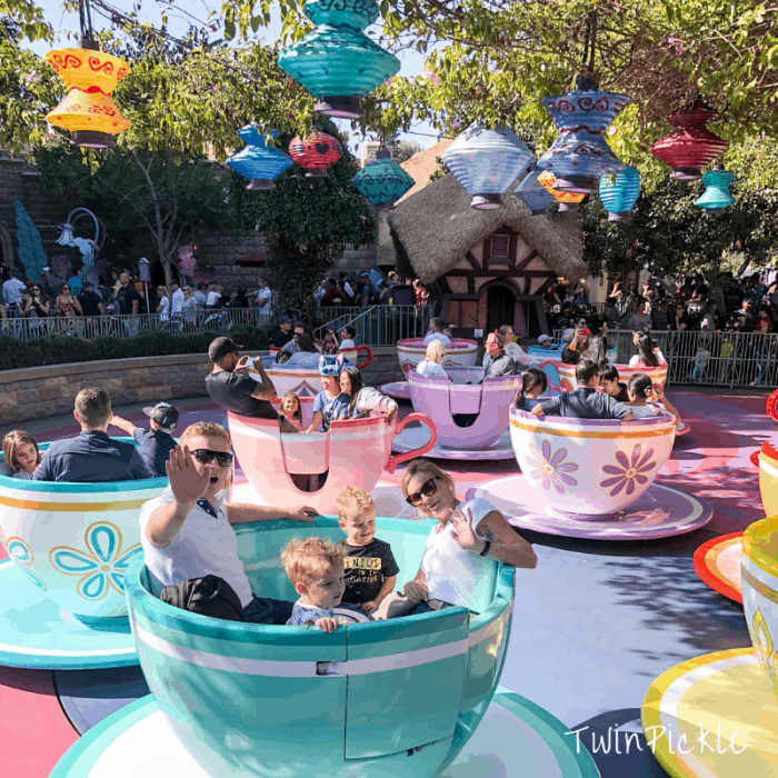 Disneyland Mad Hatter Tea Party Tea Cups