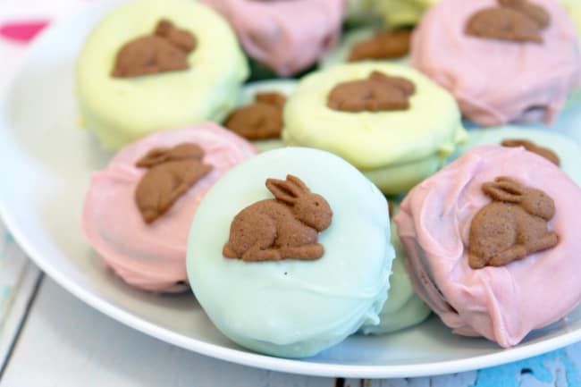 chocolate covered bunny easter cookies