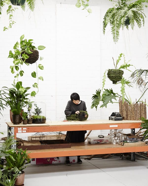 hangingbaskets TwinPickle