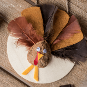 Walnut Turkey Craft 02