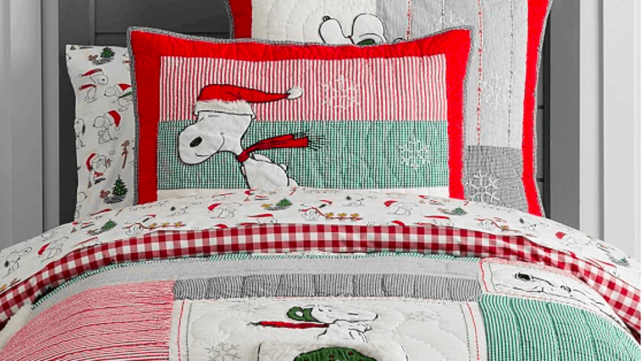 Holiday Peanuts Pottery Barn Kids Bedding Twin Pickle