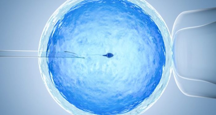 IVF causing increased twin birth rate