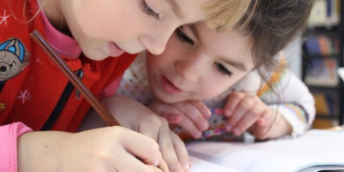 Fraternal twins Studying